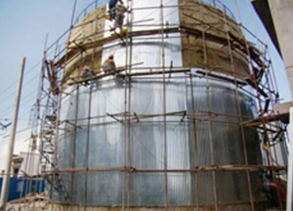 �����͹������ރ�(n��i)������